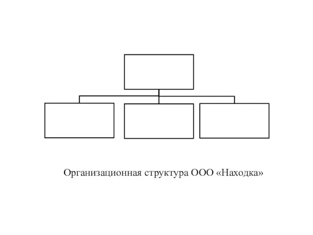 Организационная структура ООО «Находка»