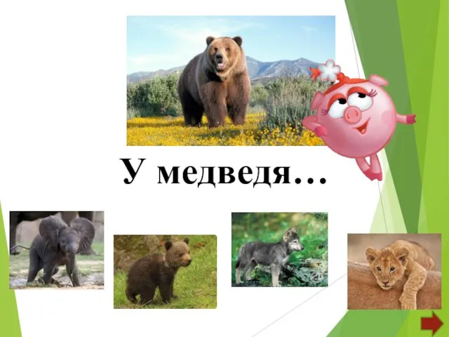 У медведя…