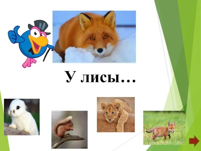 У лисы…