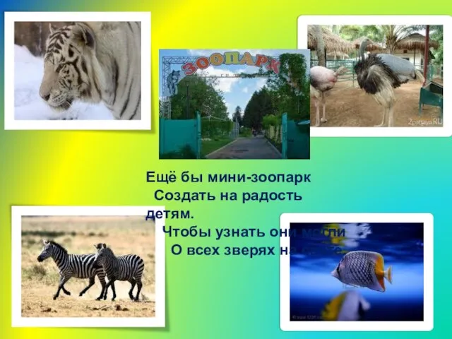 Ещё бы мини-зоопарк Создать на радость детям. Чтобы узнать они могли О всех зверях на свете.
