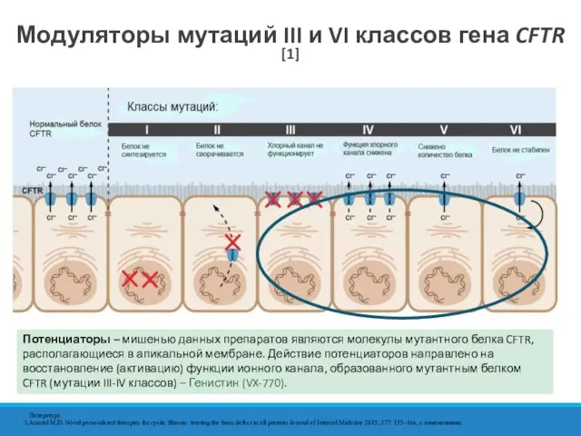 Модуляторы мутаций III и VI классов гена CFTR [1] Литература Amaral M.D.