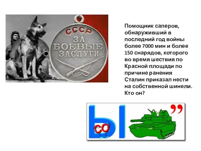 Помощник саперов, обнаруживший в последний год войны более 7000 мин и более