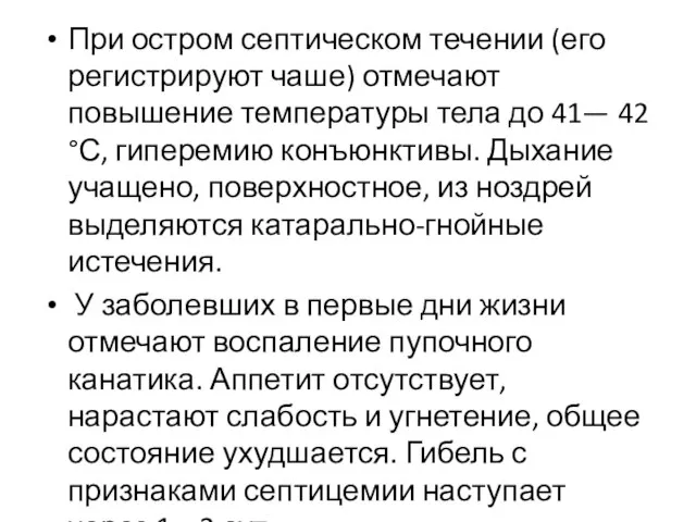 При остром септическом течении (его регистрируют чаше) отмечают повышение температуры тела до