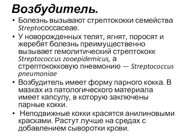 Возбудитель. Болезнь вызывают стрептококки семейства Streptoсоссасеае. У новорожденных телят, ягнят, поросят и