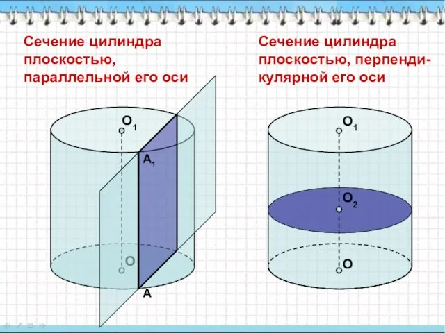 Сечение цилиндра плоскостью, параллельной его оси О О1 Сечение цилиндра плоскостью, перпенди-кулярной его оси А А1