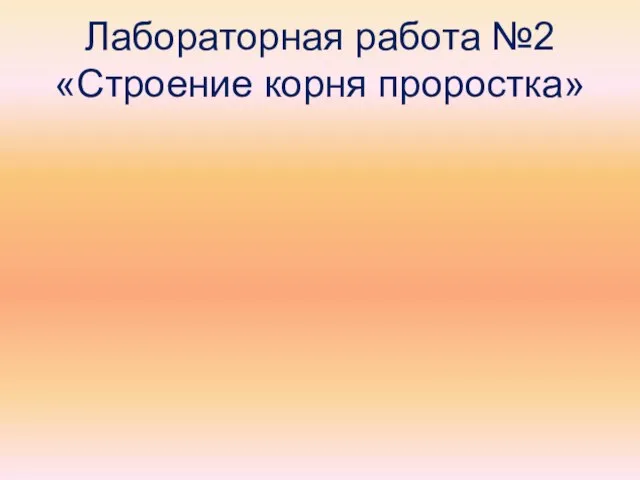 Лабораторная работа №2 «Строение корня проростка»