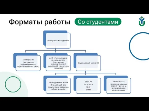 Форматы работы Со студентами