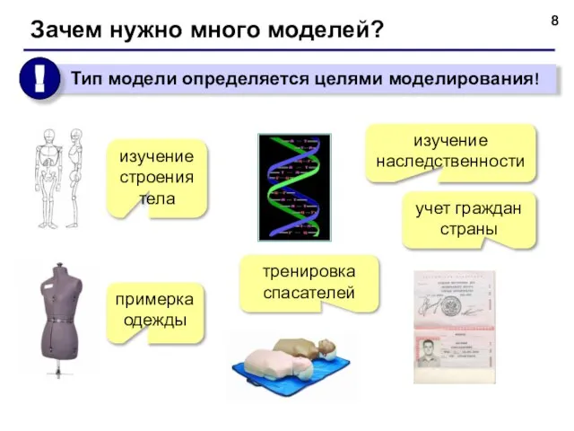 Зачем нужно много моделей? изучение строения тела примерка одежды изучение наследственности тренировка спасателей учет граждан страны