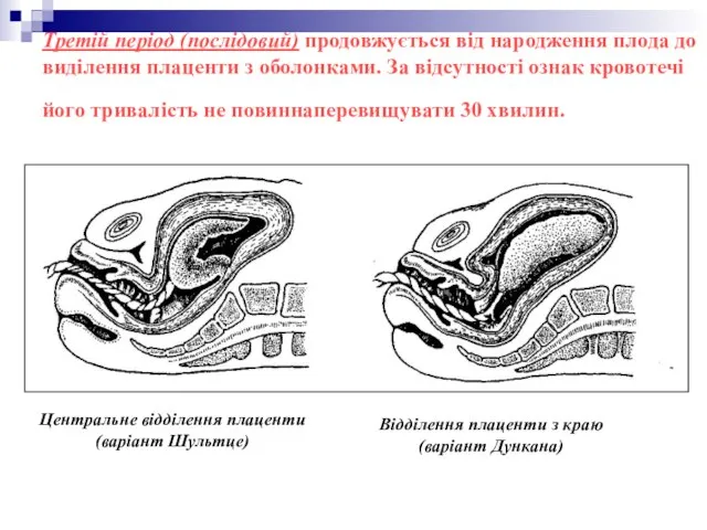 Третій період (послідовий) продовжується від народження плода до виділення плаценти з оболонками.