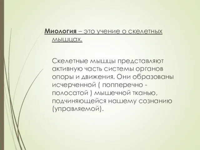 Миология – это учение о скелетных мышцах. Скелетные мышцы представляют активную часть