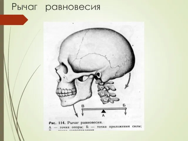 Рычаг равновесия