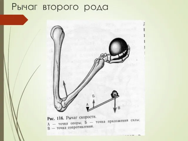 Рычаг второго рода