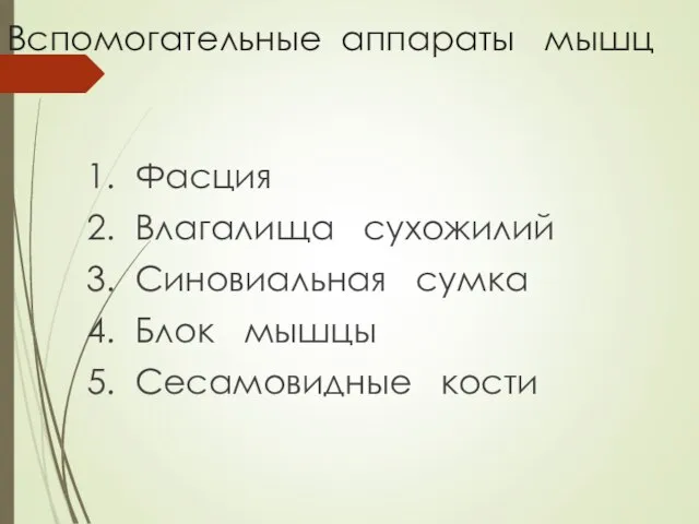 Вспомогательные аппараты мышц 1. Фасция 2. Влагалища сухожилий 3. Синовиальная сумка 4.