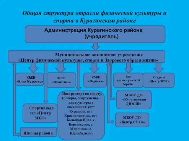 Общая структура отрасли физической культуры и спорта в Курагинском районе Администрация Курагинского