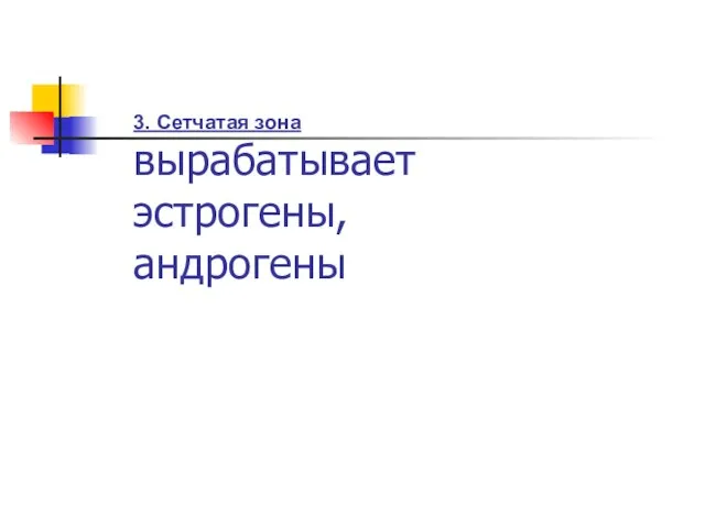 3. Сетчатая зона вырабатывает эстрогены, андрогены