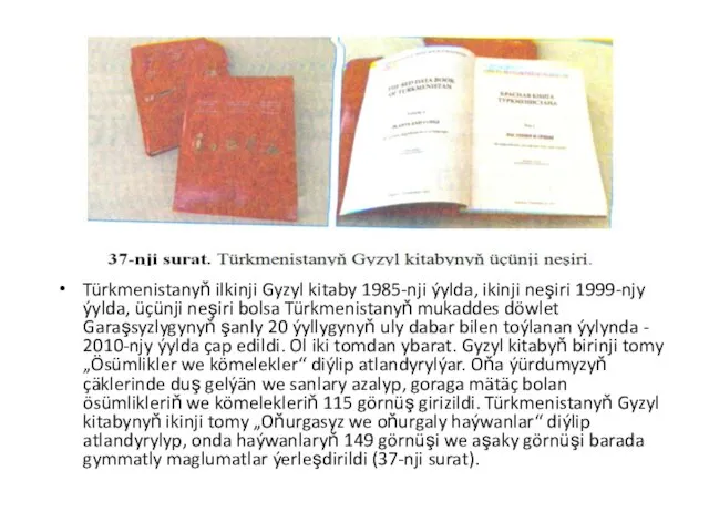 Türkmenistanyň ilkinji Gyzyl kitaby 1985-nji ýylda, ikinji neşiri 1999-njy ýylda, üçünji neşiri