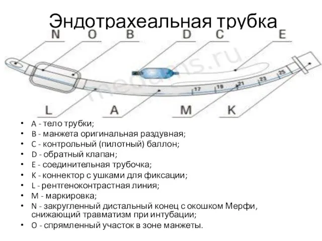 Эндотрахеальная трубка A - тело трубки; B - манжета оригинальная раздувная; C