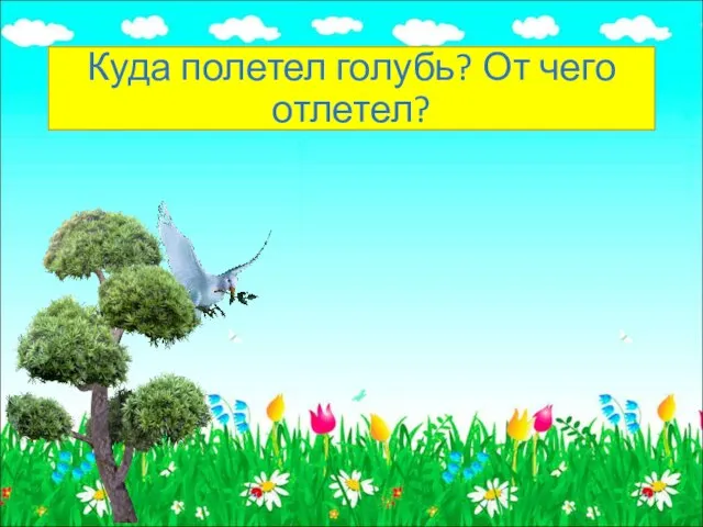 Куда полетел голубь? От чего отлетел?