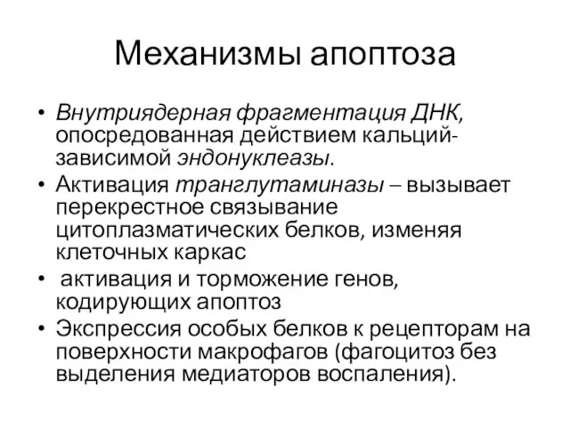 Механизмы апоптоза Внутриядерная фрагментация ДНК, опосредованная действием кальций-зависимой эндонуклеазы. Активация транглутаминазы –