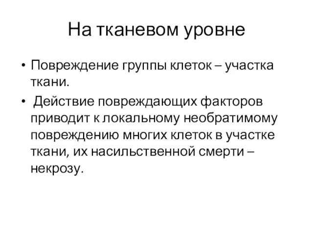 На тканевом уровне Повреждение группы клеток – участка ткани. Действие повреждающих факторов