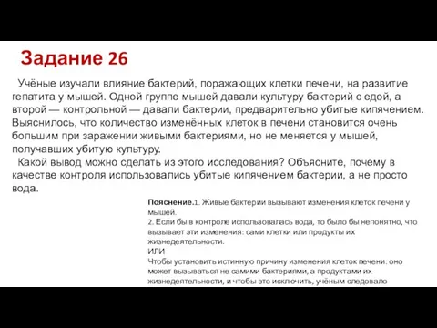 Учёные изучали влияние бактерий, поражающих клетки печени, на развитие гепатита у мышей.