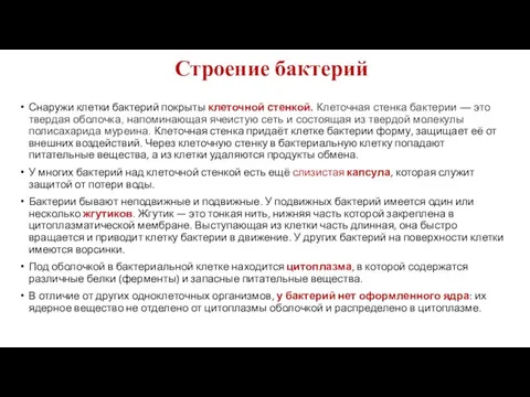 Снаружи клетки бактерий покрыты клеточной стенкой. Клеточная стенка бактерии — это твердая