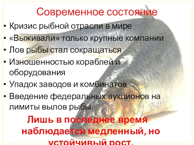 Современное состояние Кризис рыбной отрасли в мире «Выживали» только крупные компании Лов