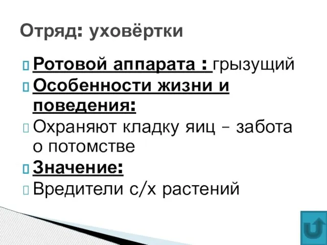 Ротовой аппарата : грызущий Особенности жизни и поведения: Охраняют кладку яиц –