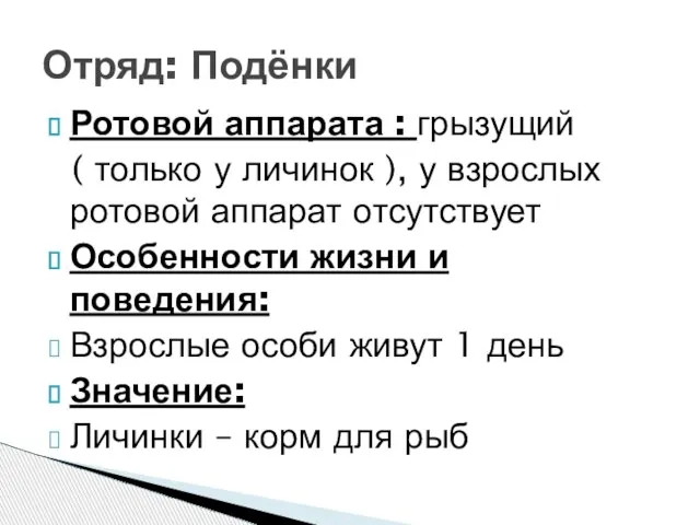 Ротовой аппарата : грызущий ( только у личинок ), у взрослых ротовой