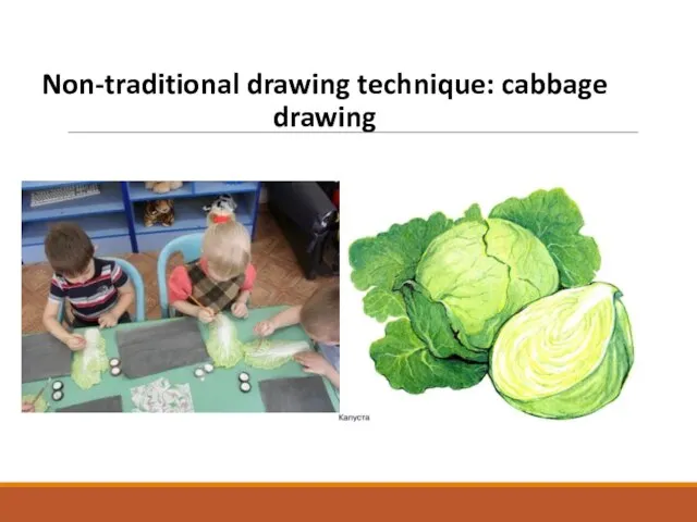 Non-traditional drawing technique: cabbage drawing