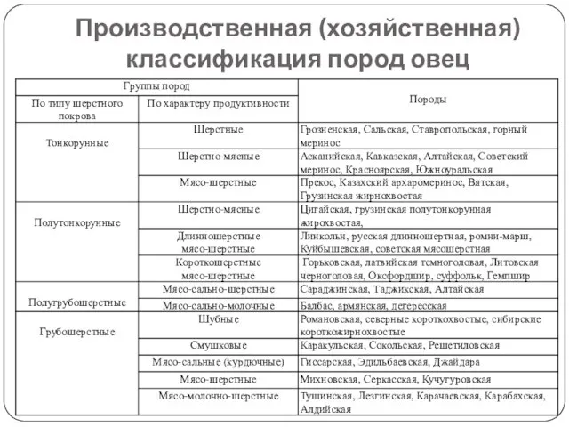 Производственная (хозяйственная) классификация пород овец