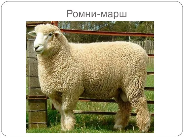 Ромни-марш