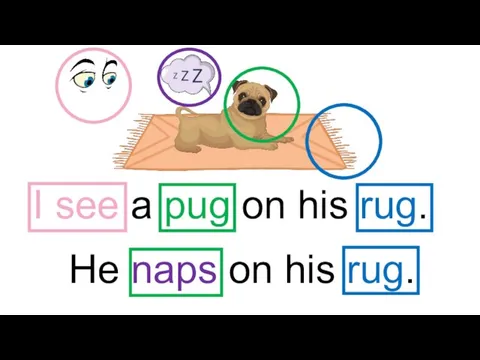 I see a pug on his rug. He naps on his rug.