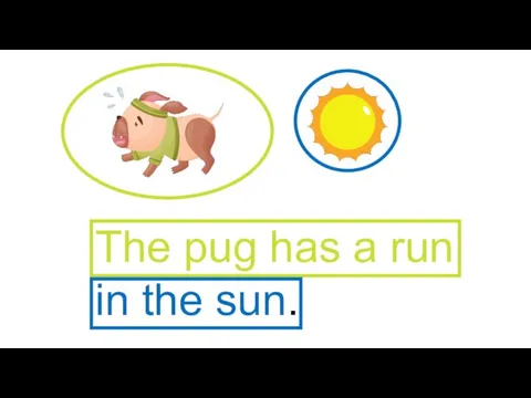 The pug has a run in the sun.