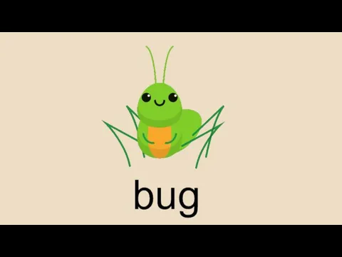 bug