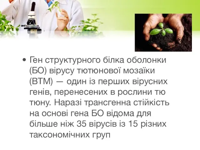 Ген струк­тур­но­го білка обо­лон­ки (БО) віру­су тю­тю­но­вої мо­заїки (ВТМ) — один із