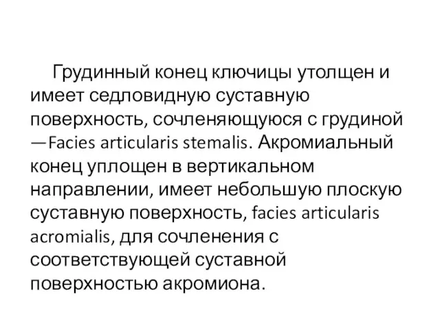 Грудинный конец ключицы утолщен и имеет седловидную суставную поверхность, сочленяющуюся с грудиной