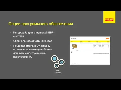 Опции программного обеспечения Интерфейс для клиентской ERP-системы Специальные отчёты клиентов По дополнительному