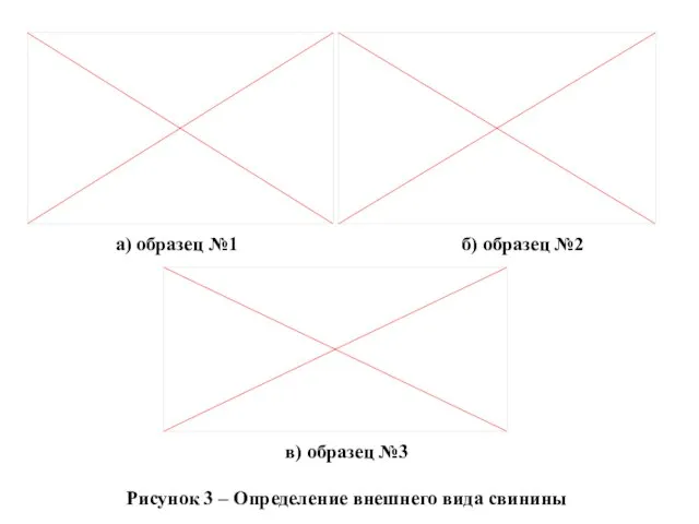 а) образец №1 б) образец №2 в) образец №3 Рисунок 3 – Определение внешнего вида свинины