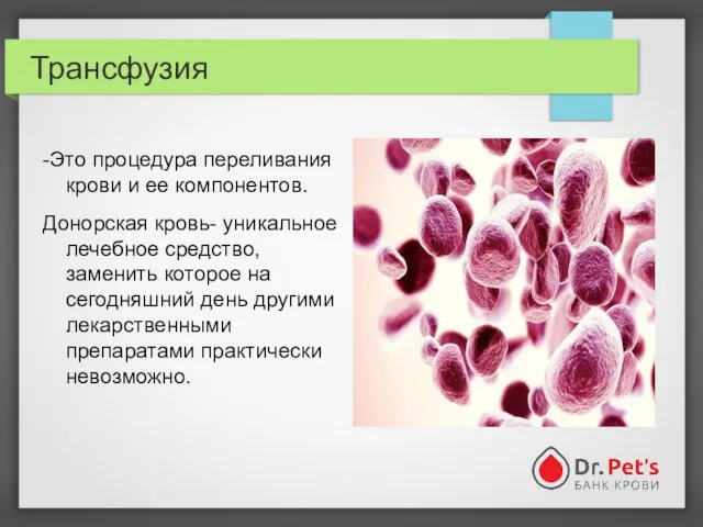 Трансфузия -Это процедура переливания крови и ее компонентов. Донорская кровь- уникальное лечебное