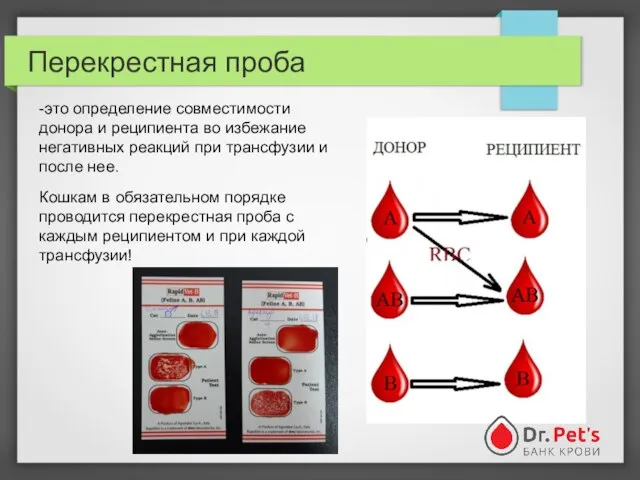 Перекрестная проба -это определение совместимости донора и реципиента во избежание негативных реакций