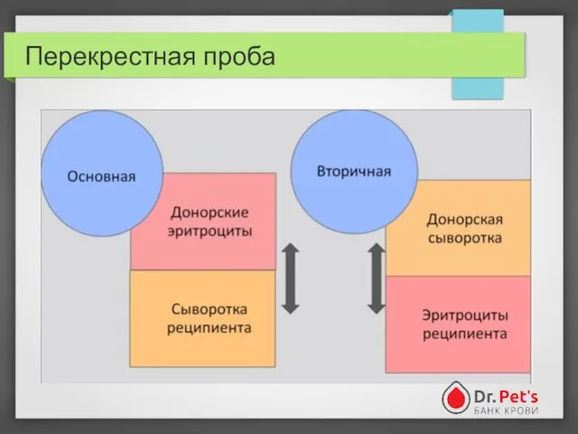 Перекрестная проба