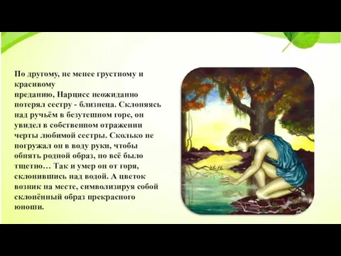 По другому, не менее грустному и красивому преданию, Нарцисс неожиданно потерял сестру