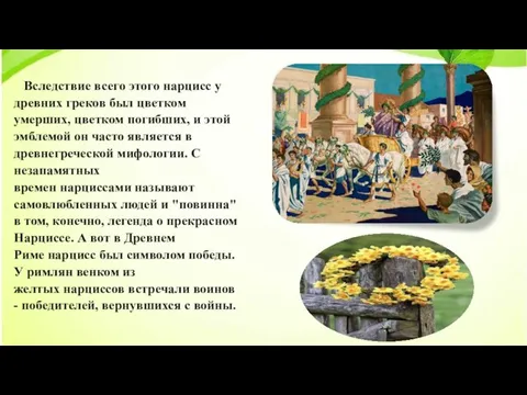 Вследствие всего этого нарцисс у древних греков был цветком умерших, цветком погибших,