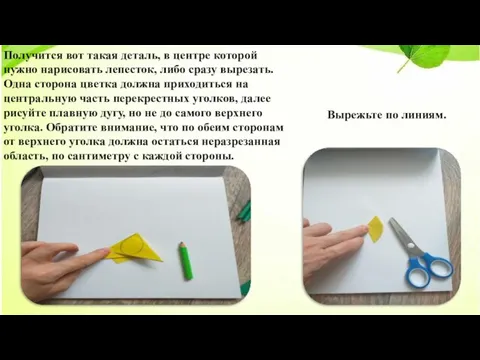 Получится вот такая деталь, в центре которой нужно нарисовать лепесток, либо сразу