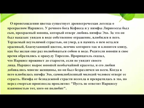 О происхождении цветка существует древнегреческая легенда о прекрасном Нарциссе. У речного бога