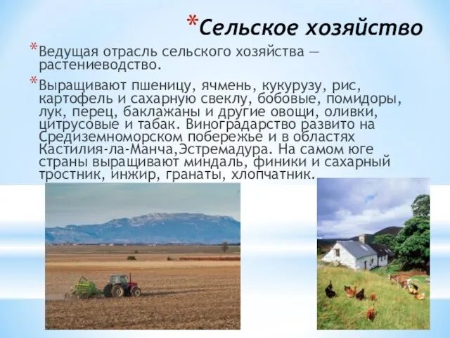 Сельское хозяйство Ведущая отрасль сельского хозяйства — растениеводство. Выращивают пшеницу, ячмень, кукурузу,