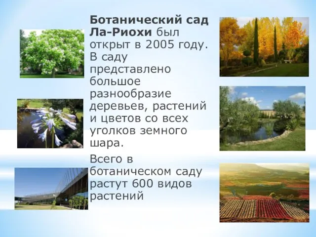 Ботанический сад Ла-Риохи был открыт в 2005 году. В саду представлено большое