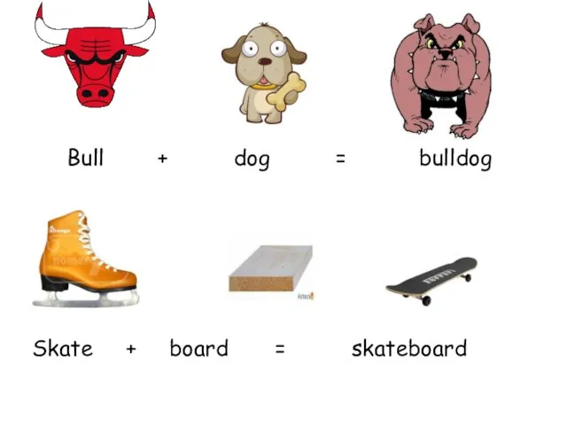 Bull + dog = bulldog Skate + board = skateboard