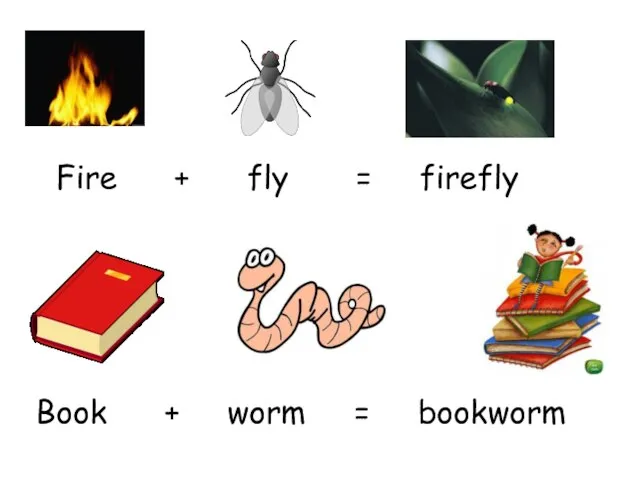 Fire + fly = firefly Book + worm = bookworm